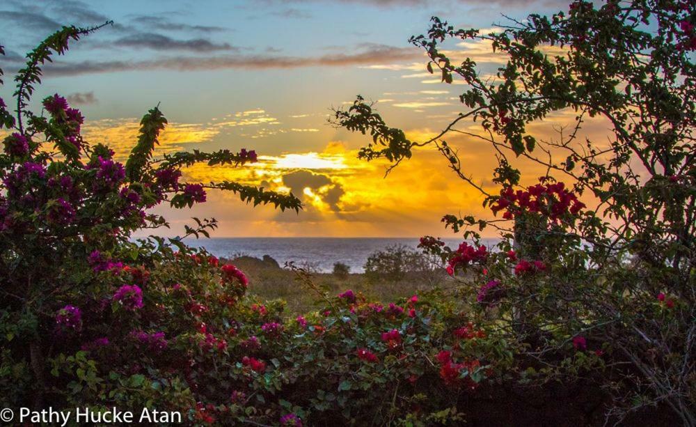 Kona Koa Lodge Hanga Roa Luaran gambar